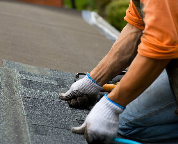 Best Roof Repair Specialists  in Postville, IA