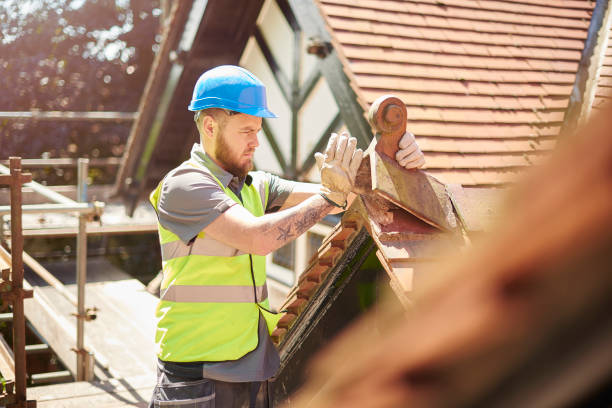 Best Residential Roofing Contractor  in Postville, IA